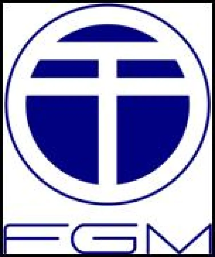 FGM Forschungsgruppe Medien