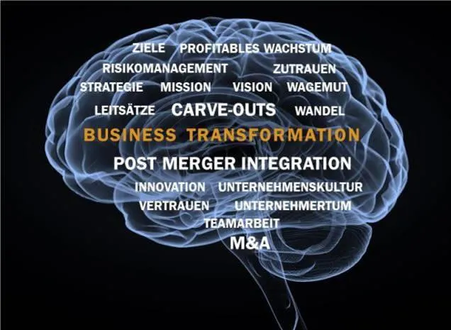 Bild: Essentielle Fähigkeiten im Business Transformation Management
