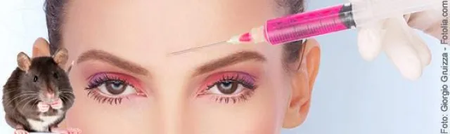 Bild: Schweizer Botox bald tierversuchsfrei - Erste Zulassung in Europa