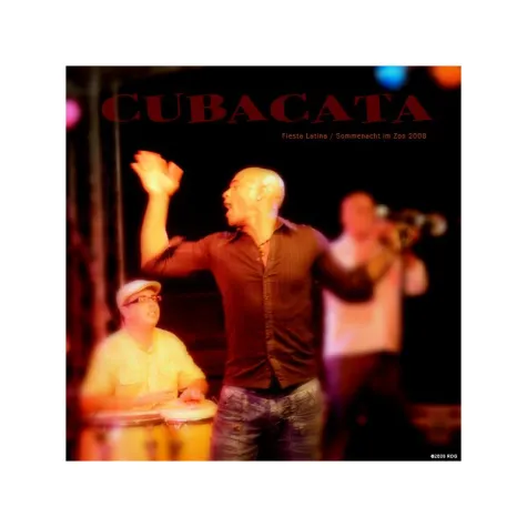 Bild: ExtraSchicht 2010 - Luis Vargas y Cubacatá live im Innenhafen Duisburg