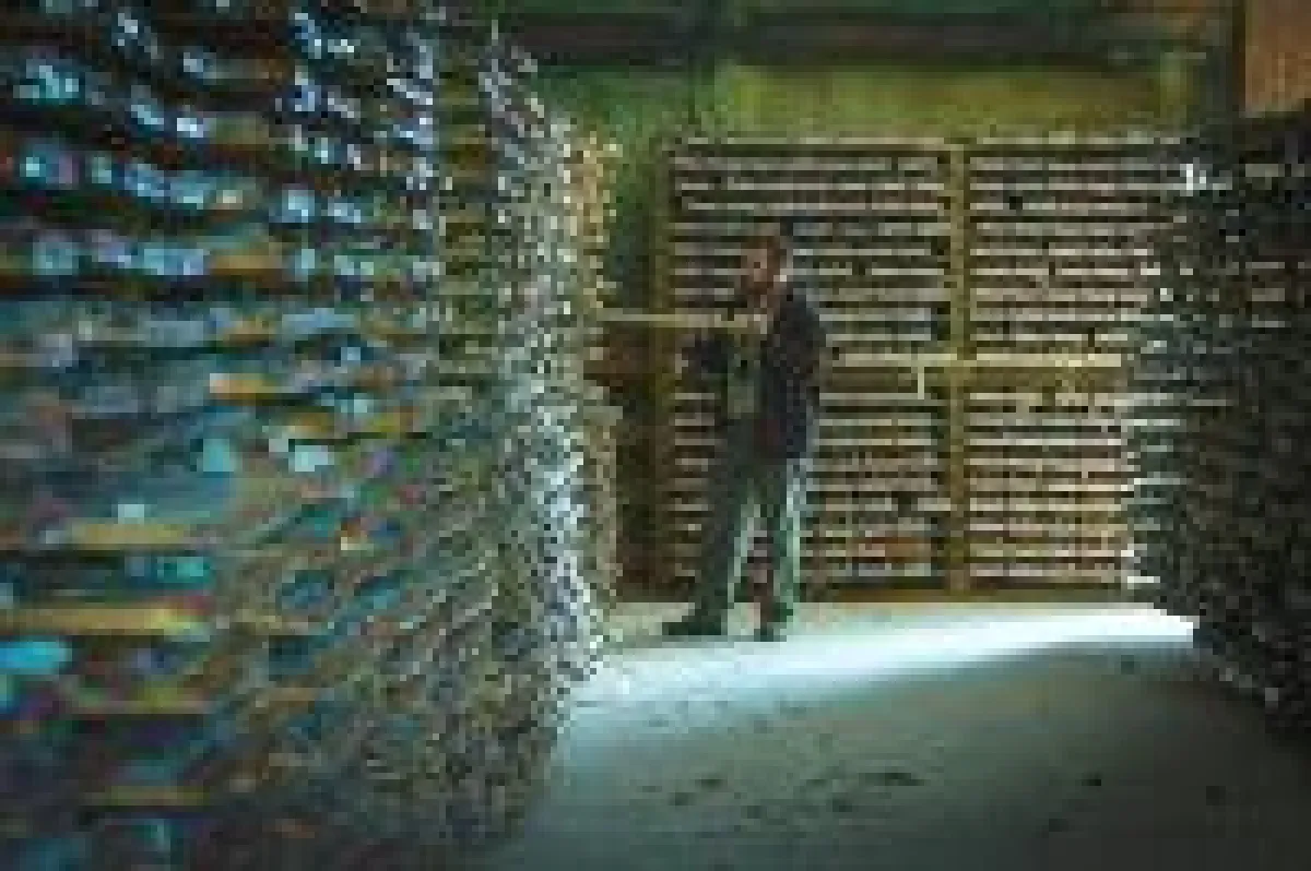 Geologe vor Bohrkernen vom Goliath-Projekt; Foto: Treasury Metals