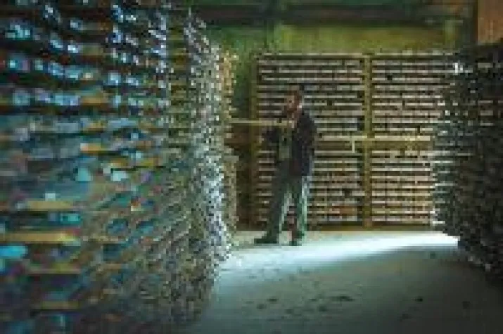 Bild: Haywood Analysten geben Treasury Metals Kursziel von 0,85 CAD