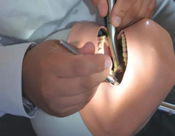 Bild: Maritime Medizin: Kieler trainieren Schiffsärzte und Katastrophenmediziner in Zahnmedizin