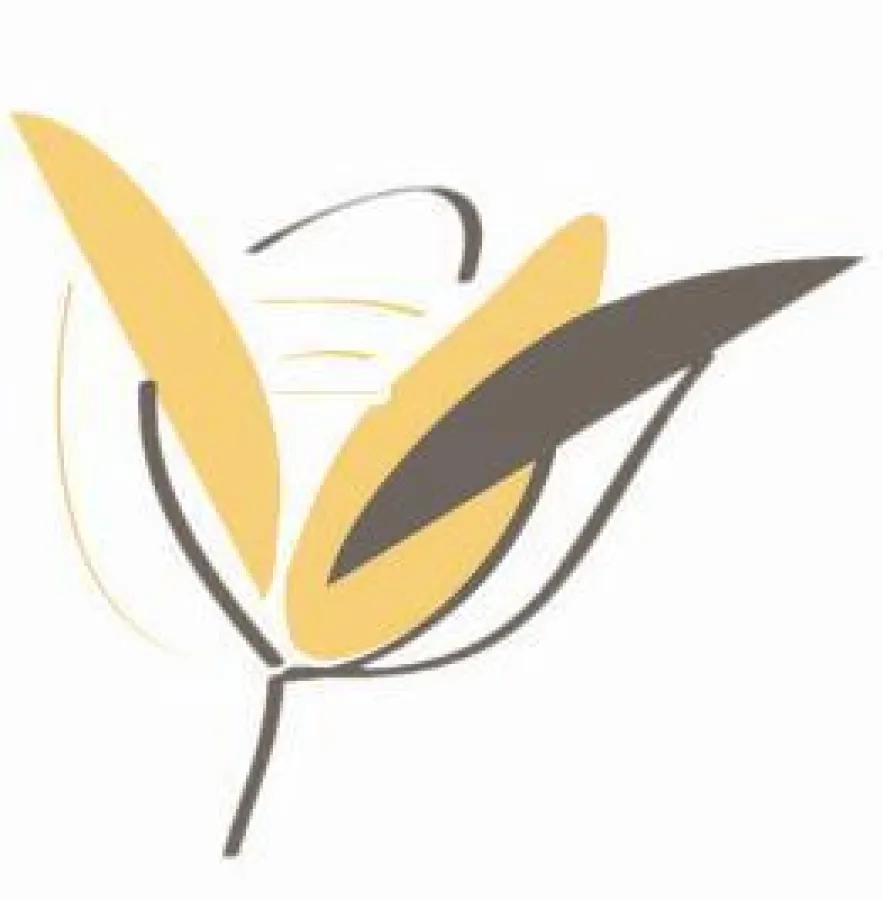 Padma Verlag Stuttgart