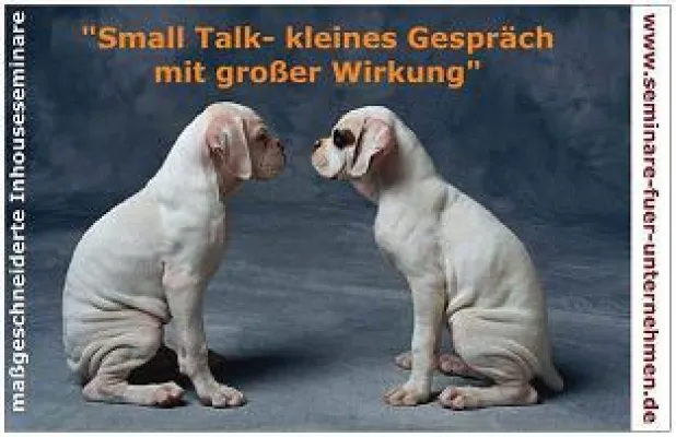 Bild: FIT FÜR DEN WETTBEWERB 2014? Neues Seminarkonzept in Modulen