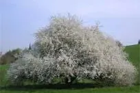 Natur-Heil-Dorf Bad Feilnbach - Das Lächeln der Natur Bild: Natur-Heil-Dorf Bad Feilnbach - Das Lächeln der Natur
