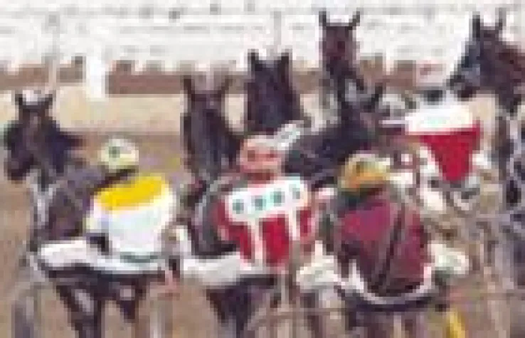 Bild: $ 400.000 Saisonfinale der Traber in Dover Downs