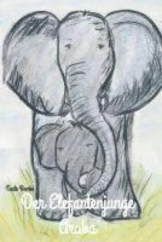 Der Elefantenjunge Aruba - neues Jugendbuch lädt nach Afrika ein Bild: Der Elefantenjunge Aruba - neues Jugendbuch lädt nach Afrika ein