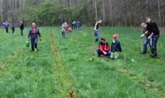 Bild: Pflanzaktion der Stadt Oelsnitz/Erzgeb.