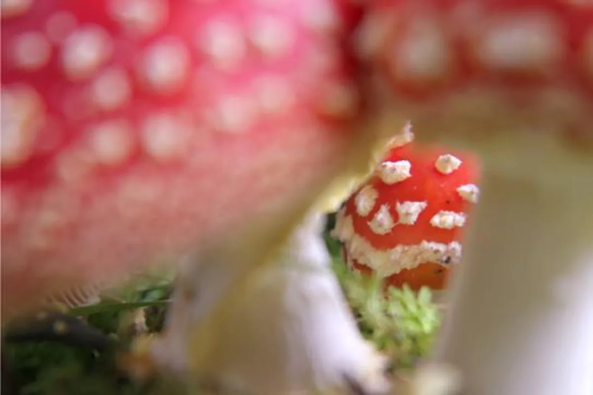 Fotoausstellung: Das kleine GROSSE Glück