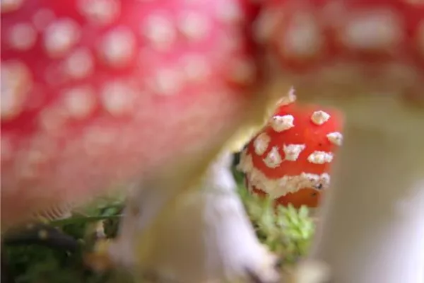 Bild: "Das kleine GROSSE Glück" - Die neue Fotoausstellung von Valerie Forster