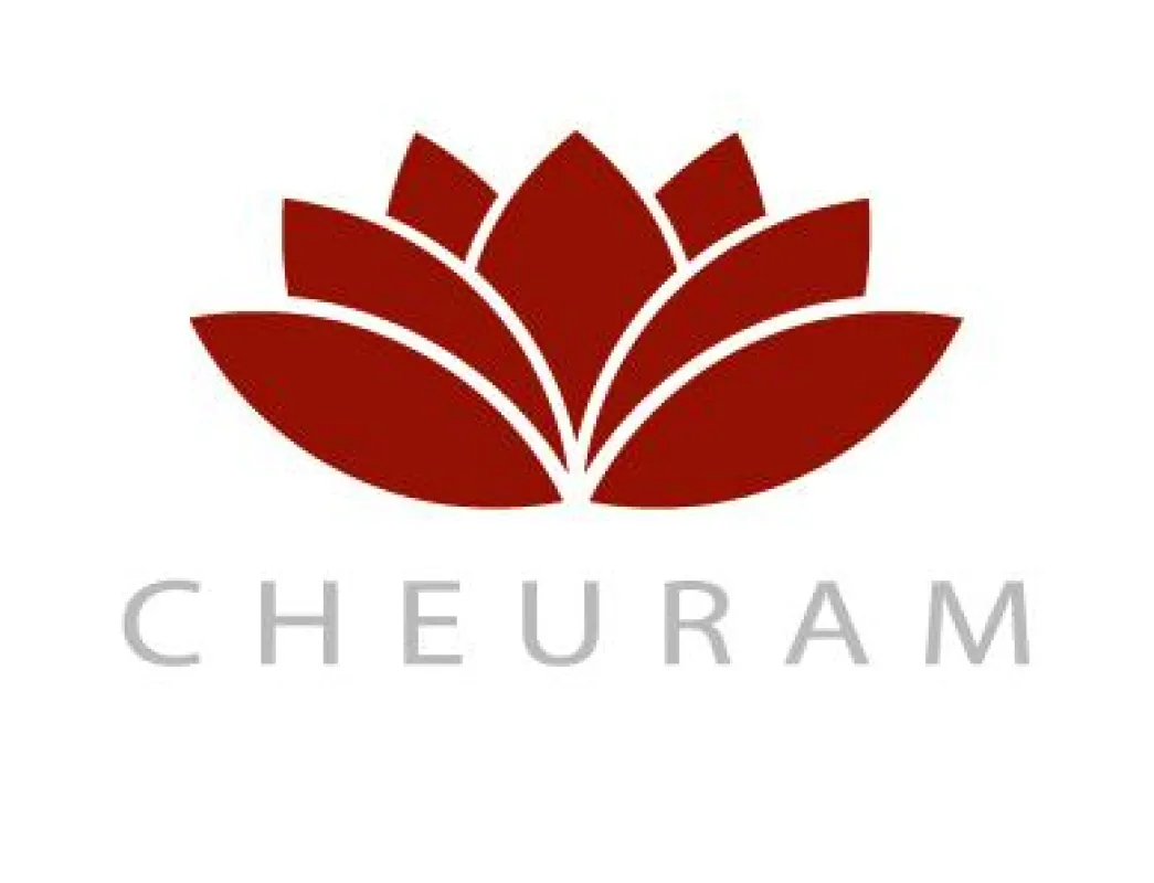 CEHRAM Consulting Group - Law & Business: that´s our business