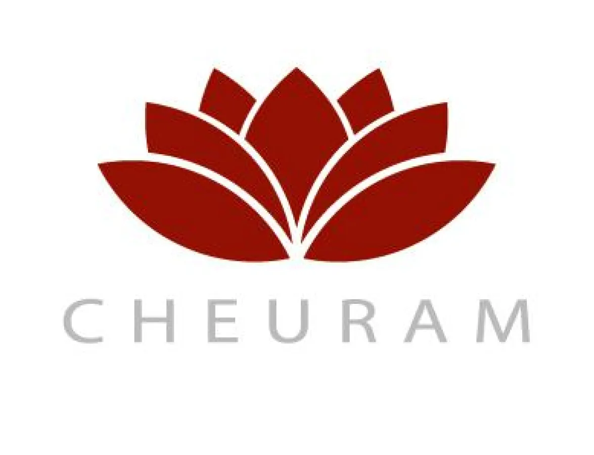 CEHRAM Consulting Group - Law & Business: that´s our business