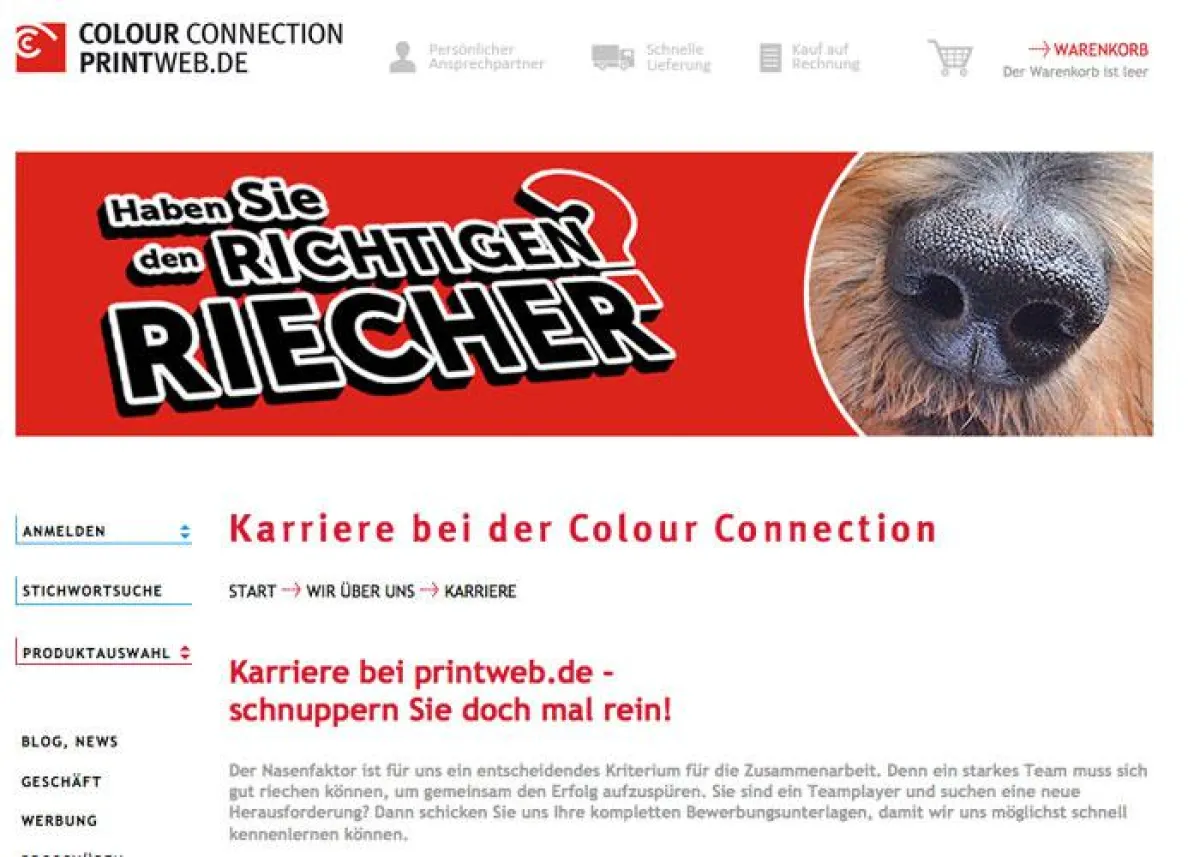 Karriere bei Colour Connection
