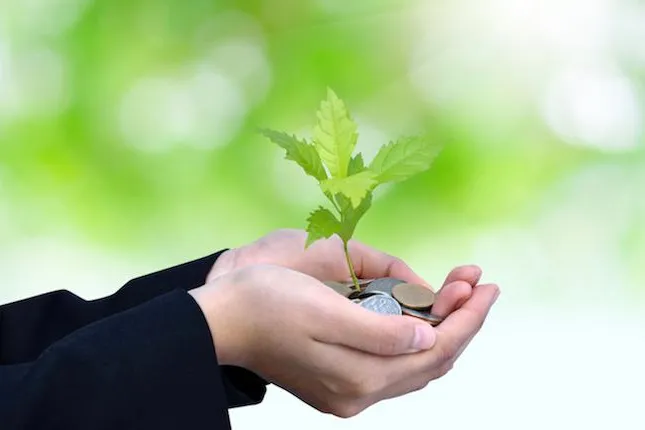 Grüne Bonuspunkte für grüne Investitionen Bild: Grüne Bonuspunkte für grüne Investitionen