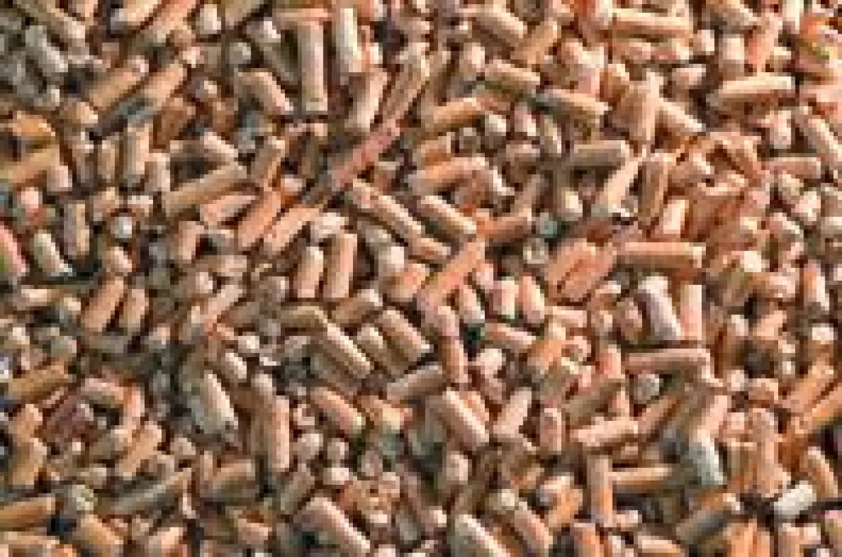 Kleine Schnipsel, große Wirkung