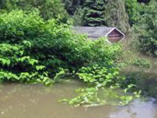 Bild: Versicherungsschutz bei Hochwasserschaden