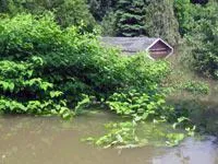 Bild: Versicherungsschutz bei Hochwasserschaden