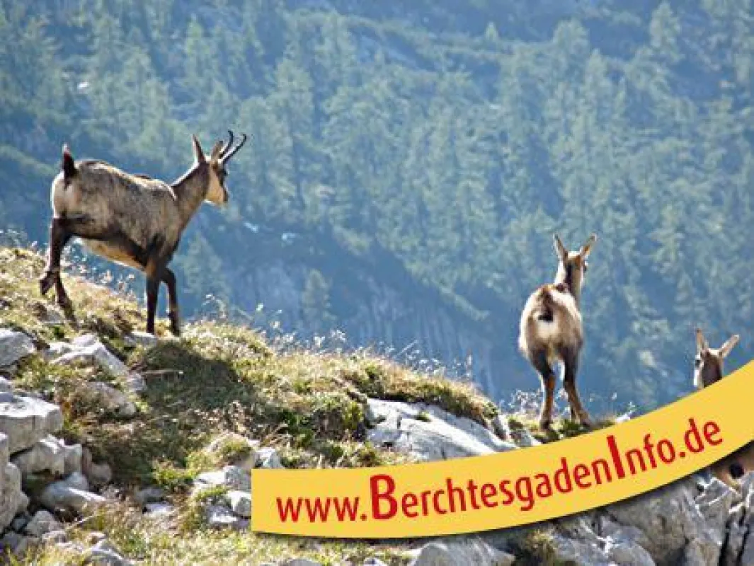 Impressionen vom Herbsturlaub in Bayern