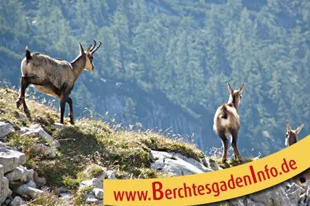 Bild: Goldene Herbstlaub-Wochen