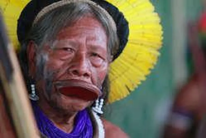 Deutsches Unternehmen beteiligt an Zerstörung des Amazonas und indigener Völker Bild: Deutsches Unternehmen beteiligt an Zerstörung des Amazonas und indigener Völker