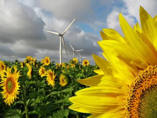 Bild: Neue Energie - Alternative Konzepte – Regenerative Rohstoffe – Mehr Effizienz