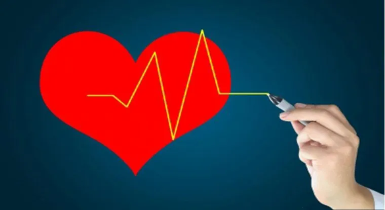 Bild: Mit einer Vitalanalyse wissen, was in uns steckt