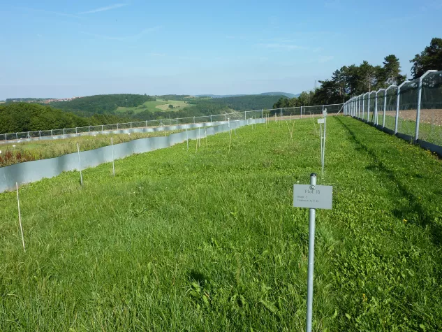 Bild: Zinsentscheidung: EZB sollte starkes Signal für die Wirtschaft setzen