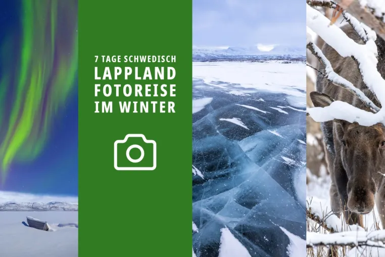 Bild: Ein Abenteuer im Norden – mit der Kamera durch Schwedisch Lappland im Winter!