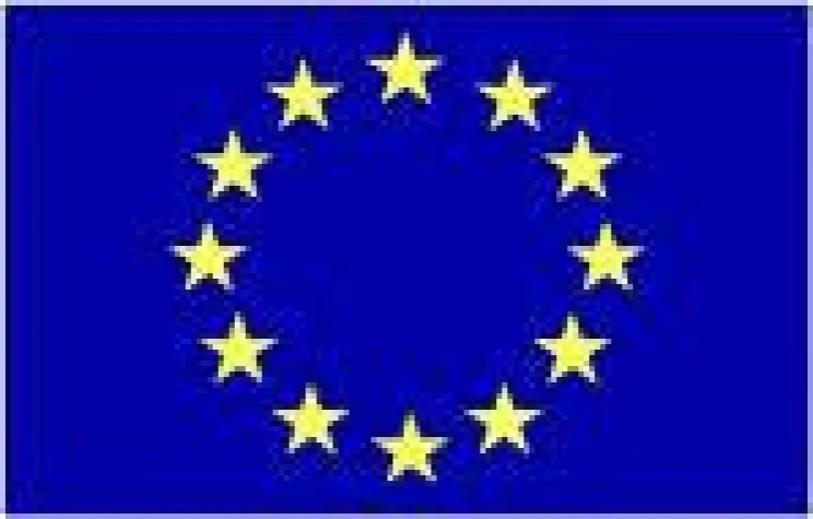 Bild: EU-Führerscheine weiterhin gültig
