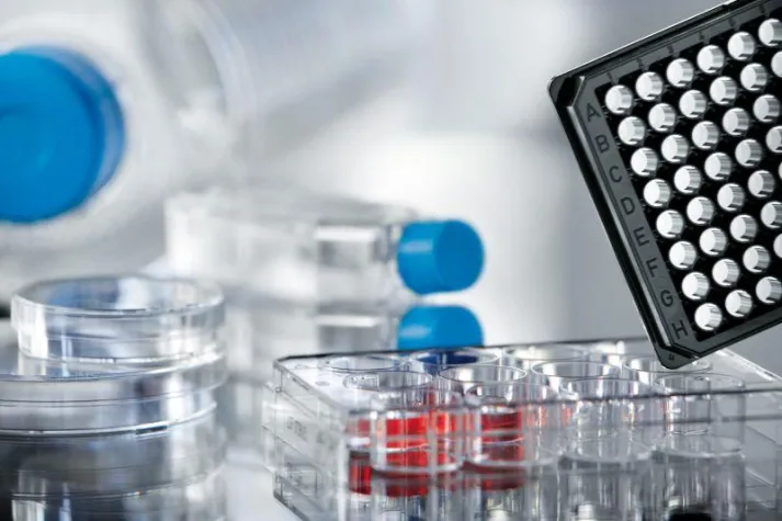 Bild: Deutlich höhere Zellenausbeute durch neuartige Wachstumsoberfläche