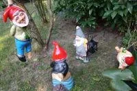 Bild: Liebesgrüße vom Gartenzwerg - Pankower Blätter zum Kleingartenwesen und Kleingartenrecht