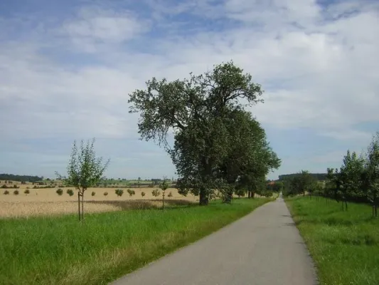 Bild: Warum in die Ferne schweifen - Mit dem Fahrrad die Region erkunden