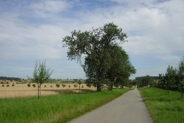 Bild: Warum in die Ferne schweifen - Mit dem Fahrrad die Region erkunden
