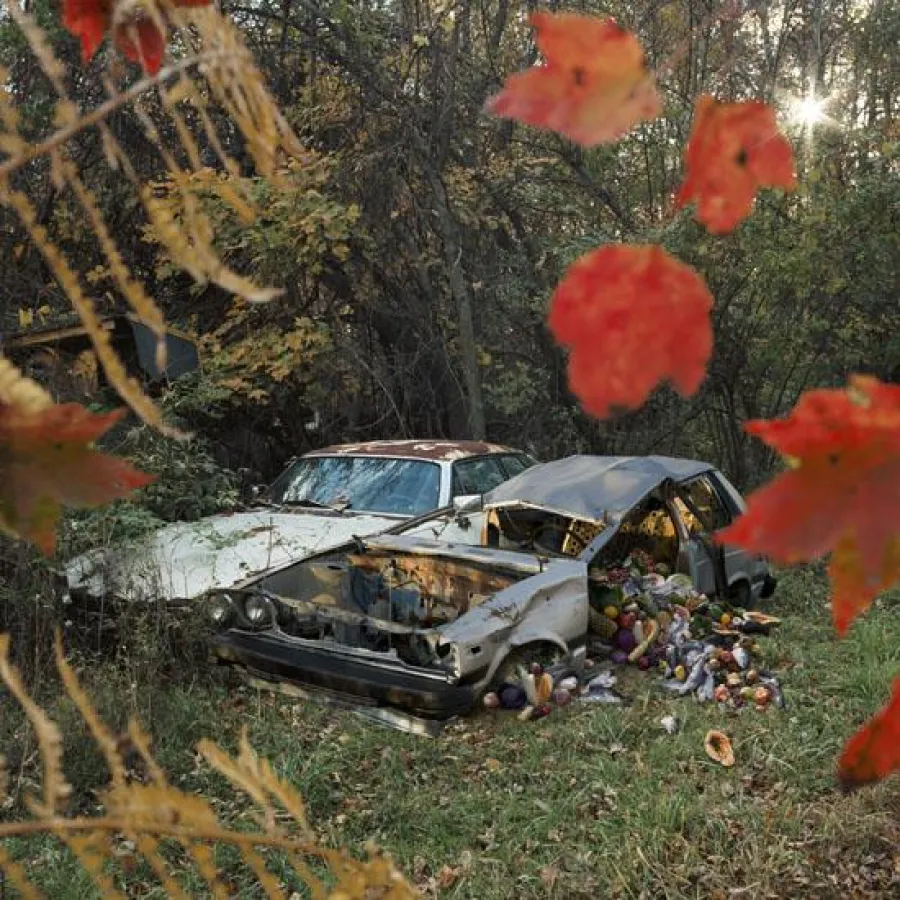 Abbildung: Siamese Twins, 2010, digital C-print, 101,6 x 101,6 cm, 40 x 40 in., edition 6 + 3 AP