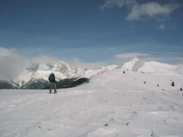 Bild: Entschleunigter Winterzauber