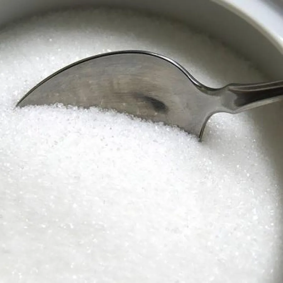 Macht Zucker wirklich süchtig?