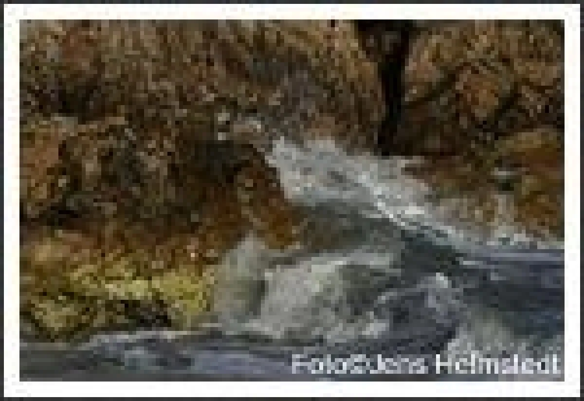 Kunstdrucke bei ANATOLIEN magazin