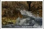 Bild: FineArt Prints - Kunstdrucke mit Motiven aus der Türkei