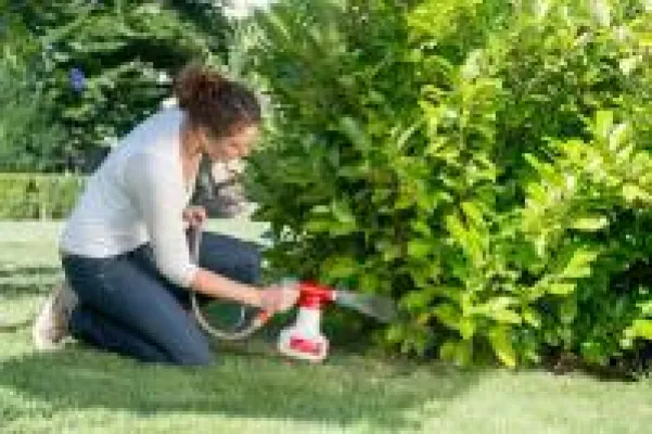 Bild: Gärtnertipp: Was muss man beim Ausbringen von Nematoden beachten?