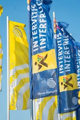 Bild: Frankreich auf der Intervitis-Interfructa: stabile Beteiligung in bewegten Zeiten