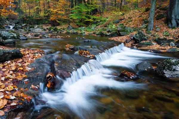 Bild: Naturfotografie im Harz - Fototour im Ilsetal