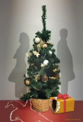 Bild: Kommt nach dem Christmas-Shopping das Scheidungs-Shopping?