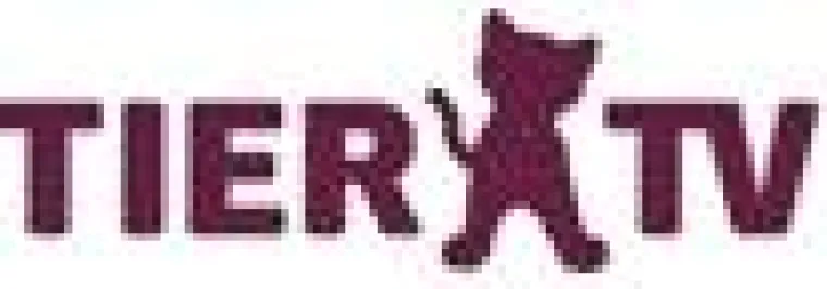 In den Fall „Hundzwinger zum elfenbeinernen Turm“ kommt Bewegung Bild: In den Fall „Hundzwinger zum elfenbeinernen Turm“ kommt Bewegung