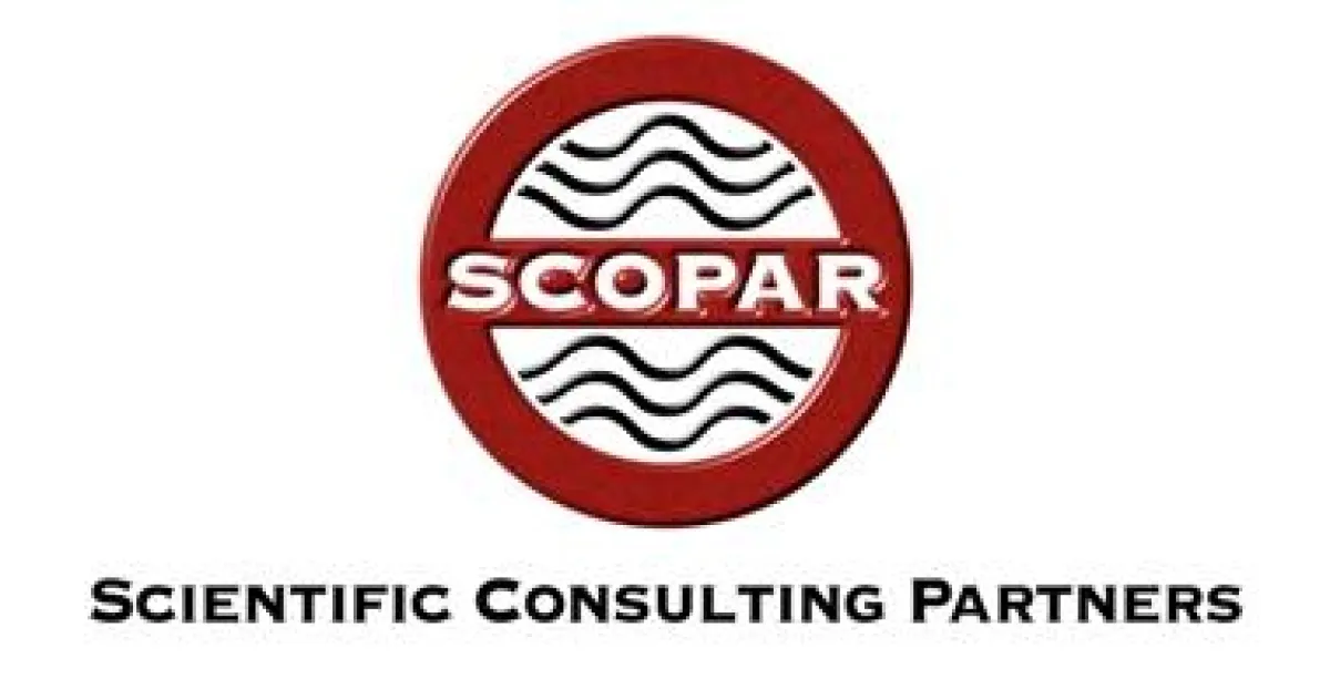 SCOPAR, Consulting, Beratung, Strategie, IT, Personal, Studie