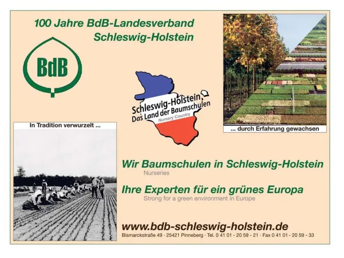 Bild: Baumschulen in Schleswig-Holstein: Fit im Grünen Markt