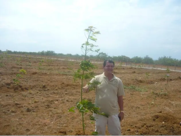 Bild: Reise nach Panama und zu den TIMBERFARM Kautschukplantagen