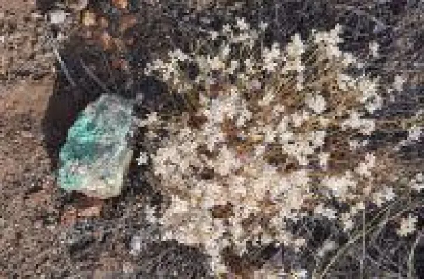 Bild: Kurze Verzögerung bei Altona Minings Transaktion aufgrund einer Naturkatastrophe