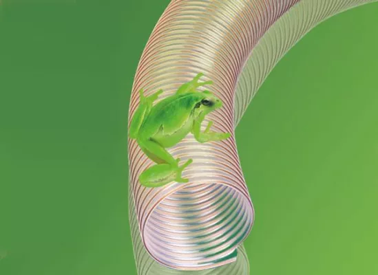 Der Umwelt zuliebe – Master-PURgreen Bild: Der Umwelt zuliebe – Master-PURgreen