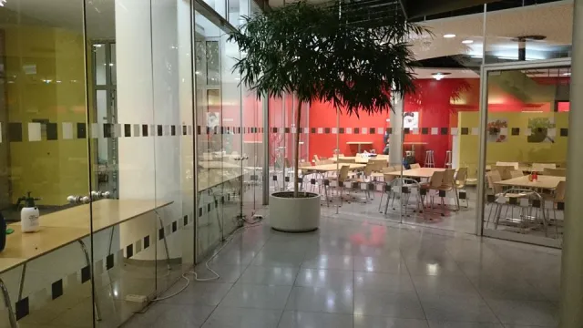 Bild: Bonner Start-Ups inclusion und Druckwelle kooperieren bei der barrierefreien Markierung von Glasflächen